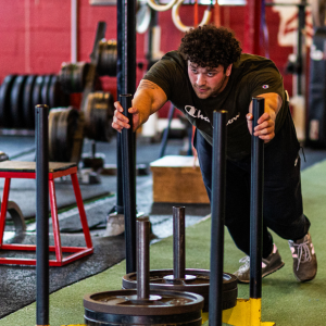 AlphaDog EXSP Programs